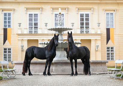 Nádvoří zámku | © Eliška Vachalová