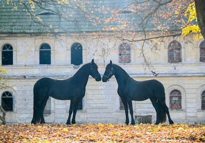 Pózování před pivovarem | © Eliška Vachalová