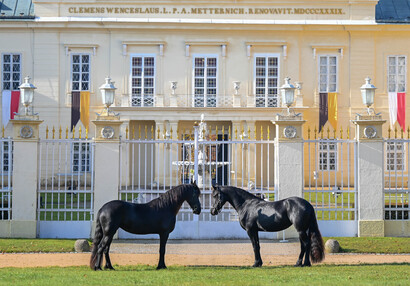 Pózování před zámkem | © Eliška Vachalová