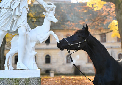 U Diany | © Eliška Vachalová