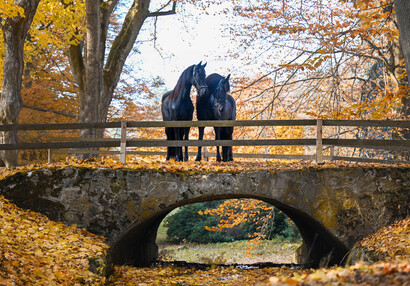 Historický mostek u západního průčelí  | © Eliška Vachalová