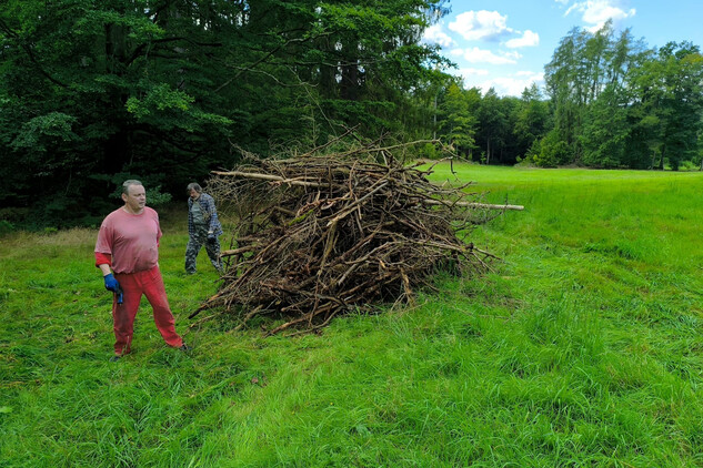 Úklid v parku | © Ondřej Cink